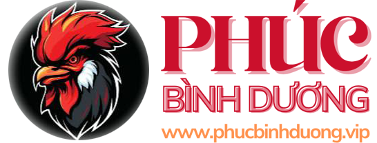 Phucbinhduong.vip